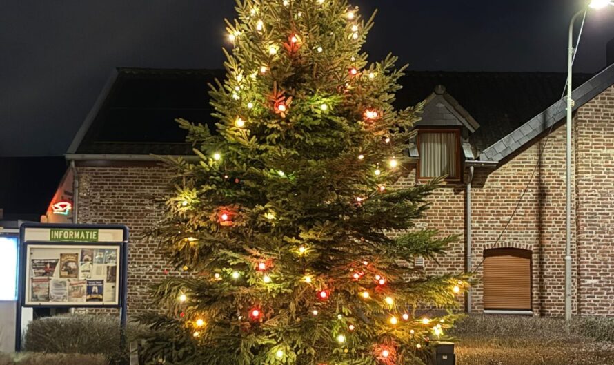 Kerstboom ondergaat metamorfose