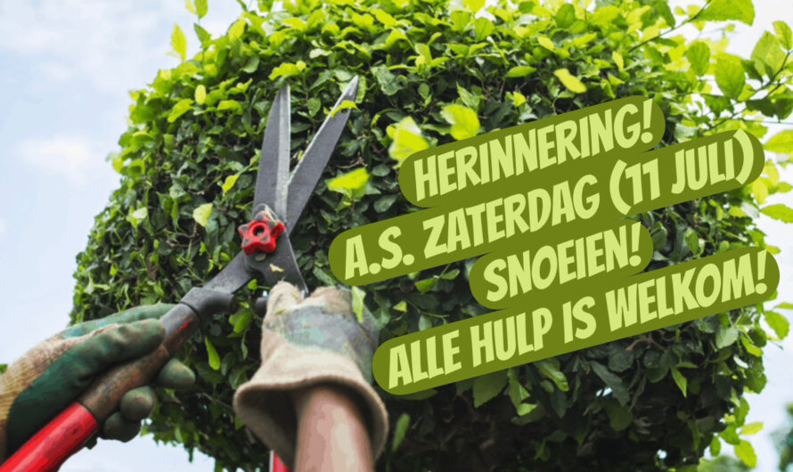 Herinnering! 11 Juli snoeien!