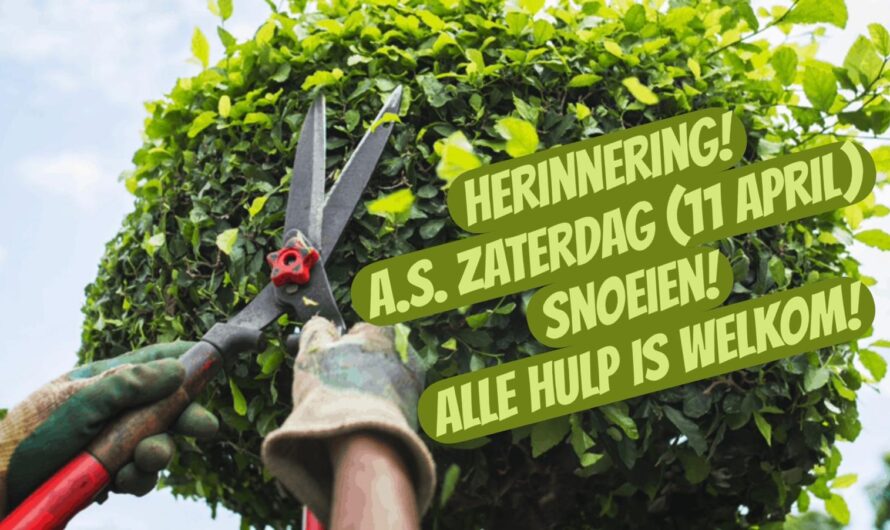 Herinnering! 11 April snoeien!